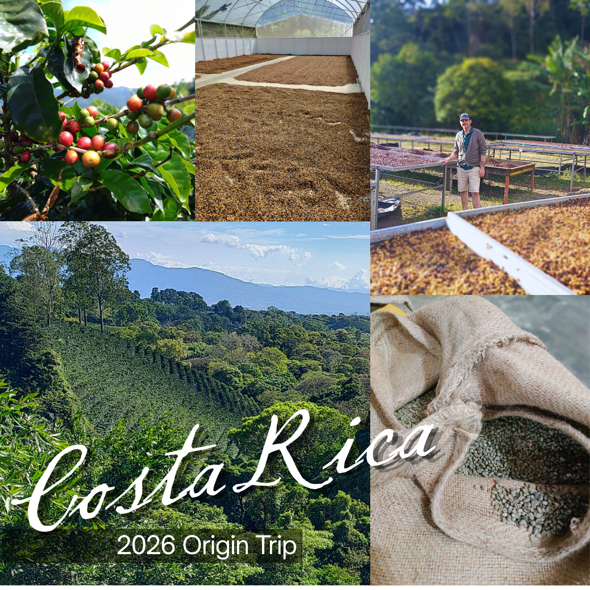 Costa Rica - Origin Coffee Trip