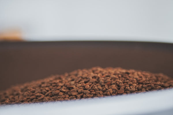 Single 4oz Coffee Bag Samples